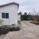 수산리-13 이미지