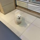 환희 노래연습장 이미지