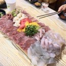 라차차 이미지
