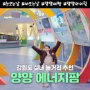 태양팜 | 양양 가볼만한 곳 양양 에너지팜 강원도 겨울 실내 가볼만한 곳