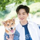 노아 이미지