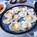 강릉 사천해변 솔바로횟집 :: 솔직후기 / 맛있는 코스 횟집