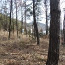 용순농장 이미지