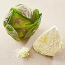 영헬스타운 이미지