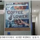 커피플라워 이미지