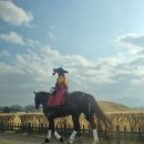 신평동1046 | 미피와 경주 1박2일 여행