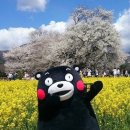 구두랑운동화랑 이미지