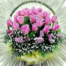 (주)레이바이오 이미지