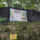 마당식당 | 애견 동반 식당 양주계곡추천 장흥마당바위 본점 내돈내산 후기