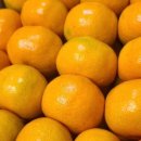 탐모라농수산