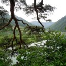 정선초교가수분교 이미지