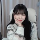 기룡 이미지