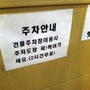 요가올
