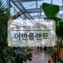 용산-이촌-496 | 서울 용산 한강뷰 브런치 카페 어반플랜트 한강대교점 분위기 맛집 로맨틱한 데이트코스 추천
