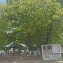 청리면보건지소 이미지