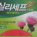 모아수약국 이미지