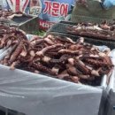 광양닭숯불구이 이미지
