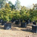 한구농장 이미지