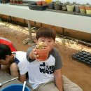 검산농장 이미지