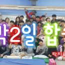 효키즈태권도 이미지
