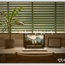 사파동355 이미지