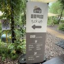 하나애견 | 춘천 감자밭 카페 애견동반 솔직후기