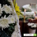 노원구 장례식장 정보, 더조은요양병원장례식장 후기