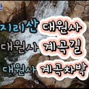 지리산 대원사/지리산 계곡 트레킹/지리산 대원사 차박/지리산 산채비빔밥 이미지