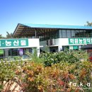 이나라농장 이미지