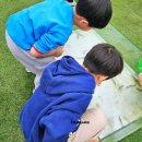 팬지선물코너 | 생물도감 테마파크 521 구리 생태체험장
