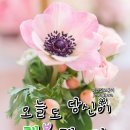밀밀돈까스 이미지