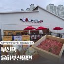 율하점심맛집 부산댁 율하 부산밀면 한우투쁠편백찜 밀면세트 후기 김해장유가족외식 추천