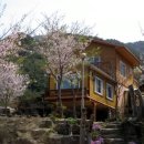 주주산방