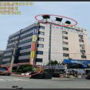 꼬뜨리아 이미지