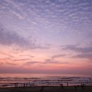 알래스카 &#34; 베트남 다낭의 노을지는 풍경과 맛집,음식가격 이미지