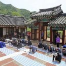 팔봉 Daum카페