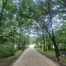 온수리 초입(온수리500-25) | 구리 아이와 함께 가볼만한 곳 동구릉 산책로로 걷기 좋아요