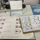 퀸뷰티아이래쉬