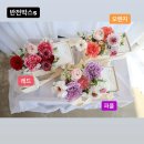 투유플라워스튜디오