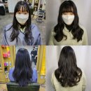 아프로디테 헤어