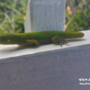 나우컴퍼니