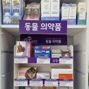 다민약국 이미지