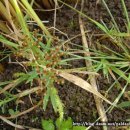 하늘지기 이미지