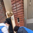 신평2동-6 이미지