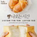 솔트앤멜로우 이미지