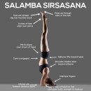 아헹가요가파주본원 이미지