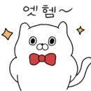 달빛싸롱 이미지