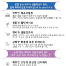 숲속의아침3 이미지