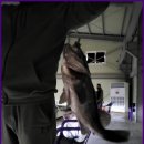 뚜루실내낚시 이미지