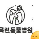 목련동물병원 이미지